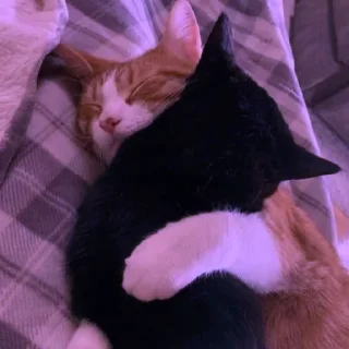 💜