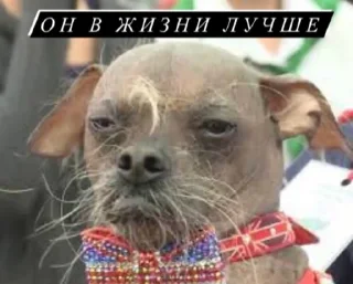 👨‍🦱
