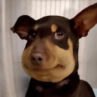 😬