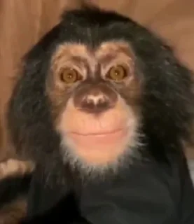 🙂