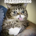 🙂
