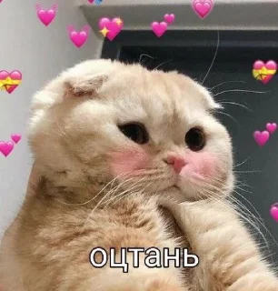 🌚