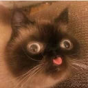 😛