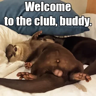 🌰