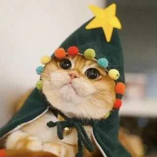 🎄