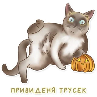 👻