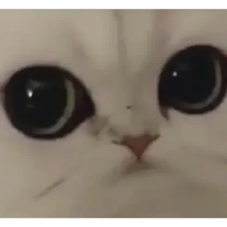 🙄