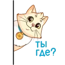 ❓