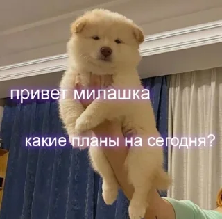 🌝