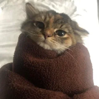 😊