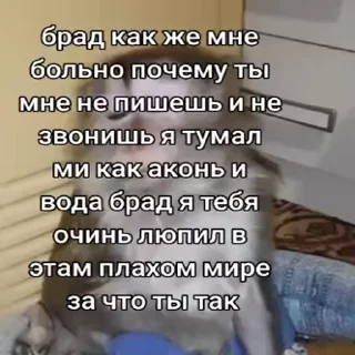 🐵