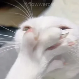 💅