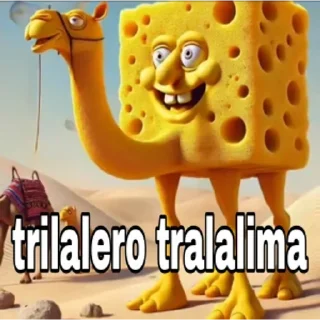 🐪