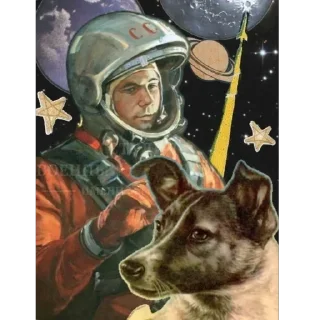 🚀