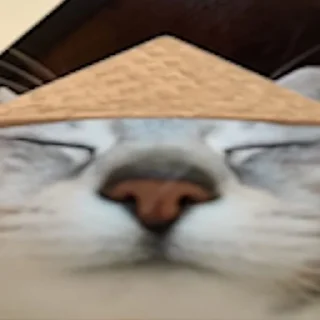 😏