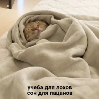 😉