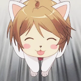 🐈