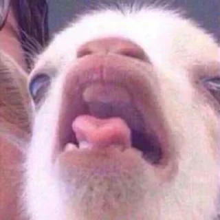 🤯
