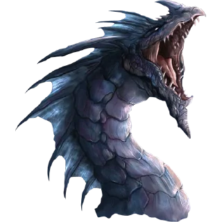 🐲