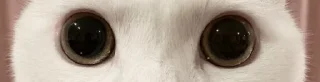 👀