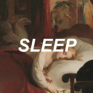 💤