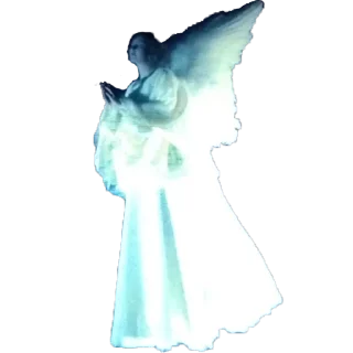 ⭐️