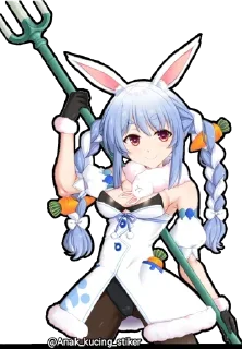 🐇