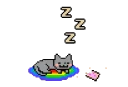 😴
