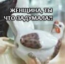 😃