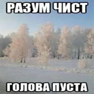 🧂