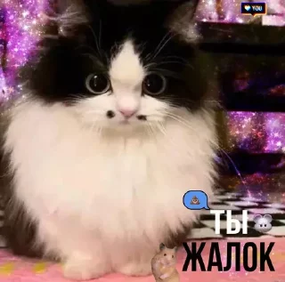 😮‍💨