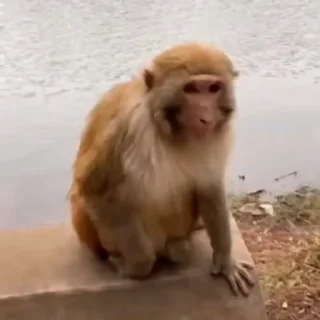 😃