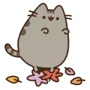 😺