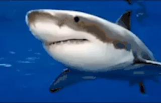 😉