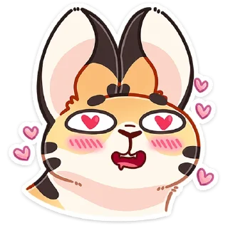 😍