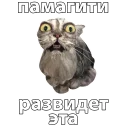 😱