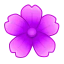 🌸