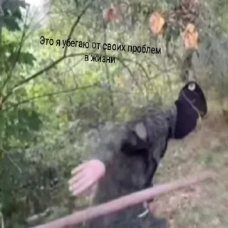 😶