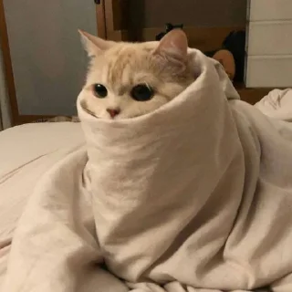 ❣️