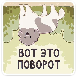 🐶