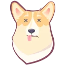 🐶