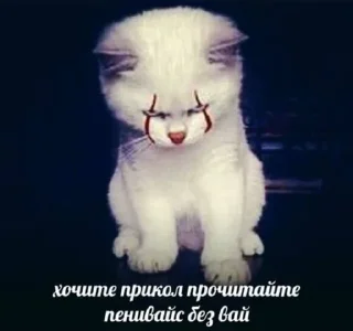 😹