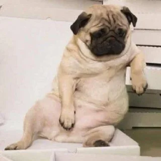 😒