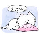 😴