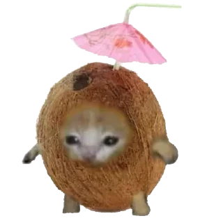 🥥