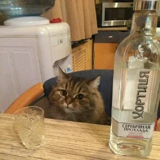 🥃