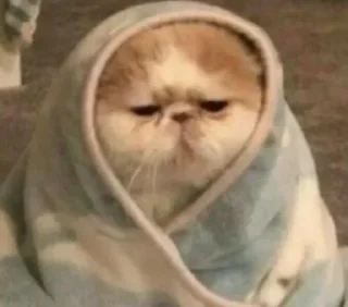 😑