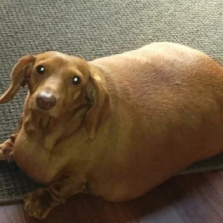 😌