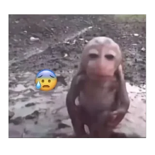 😰