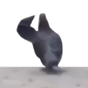 🐦